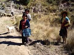 Cajamarca