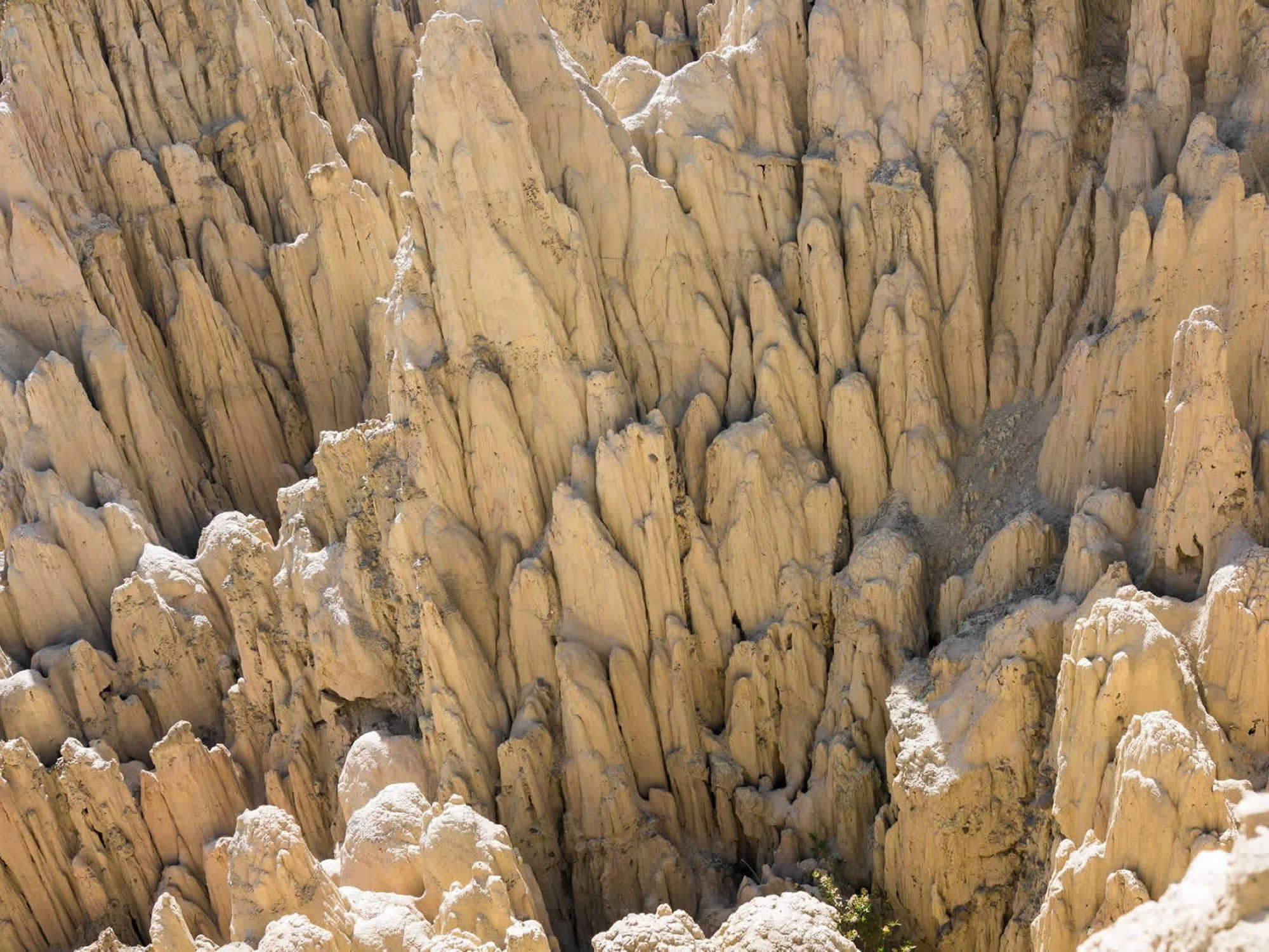 Moon Valley