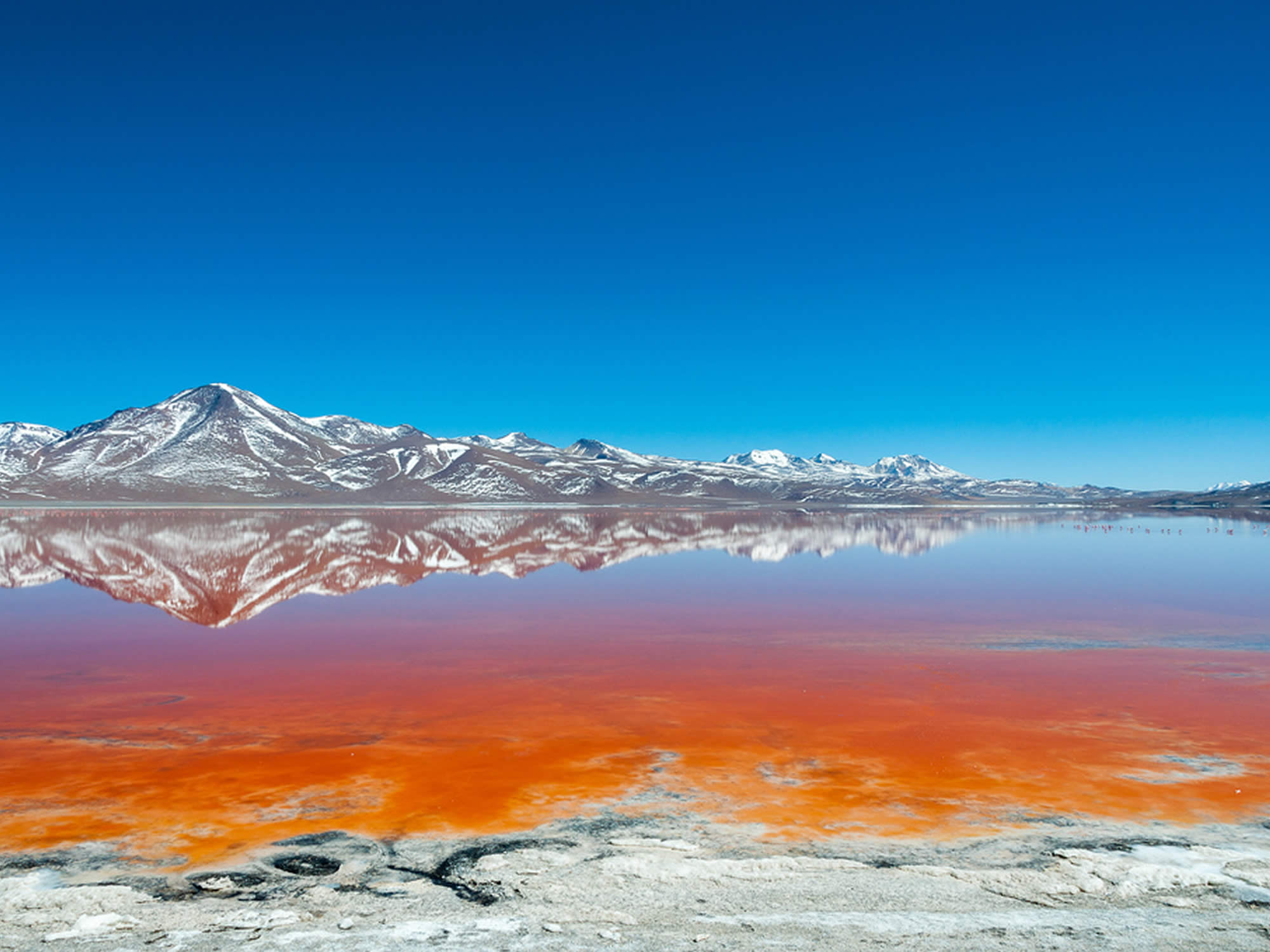 Amazing Lagoons