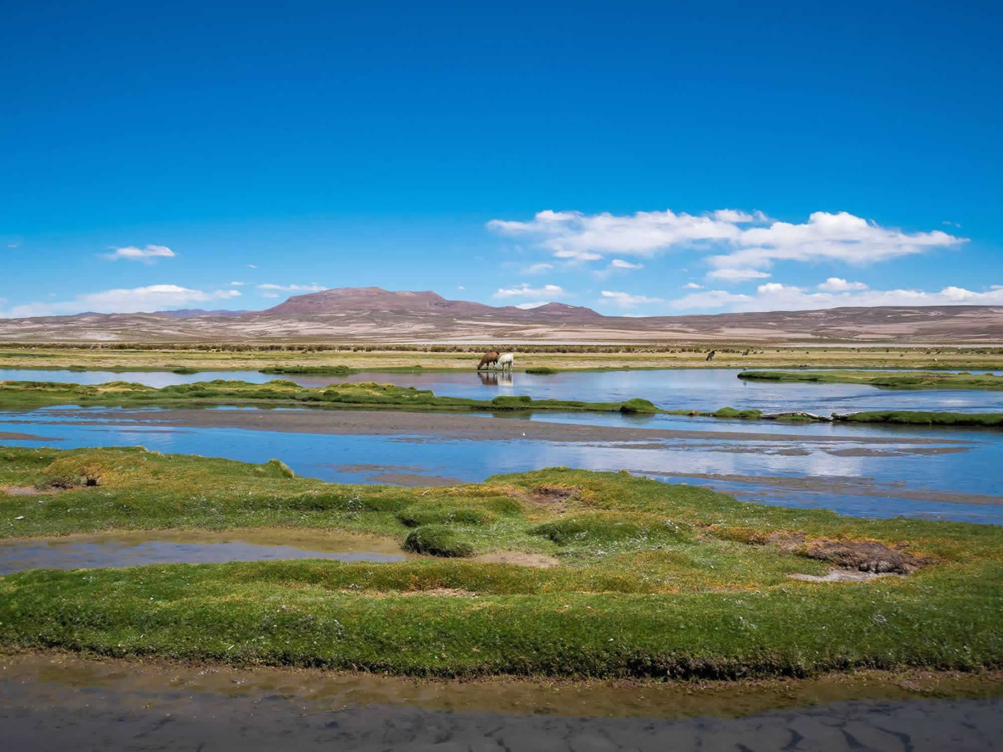 Eduardo Avaroa Reserve