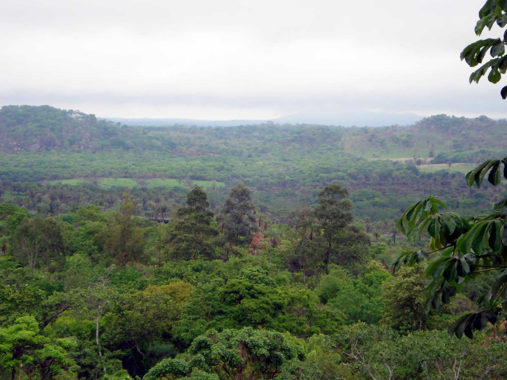 La Chiquitania