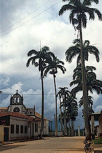 Town center of Cobija