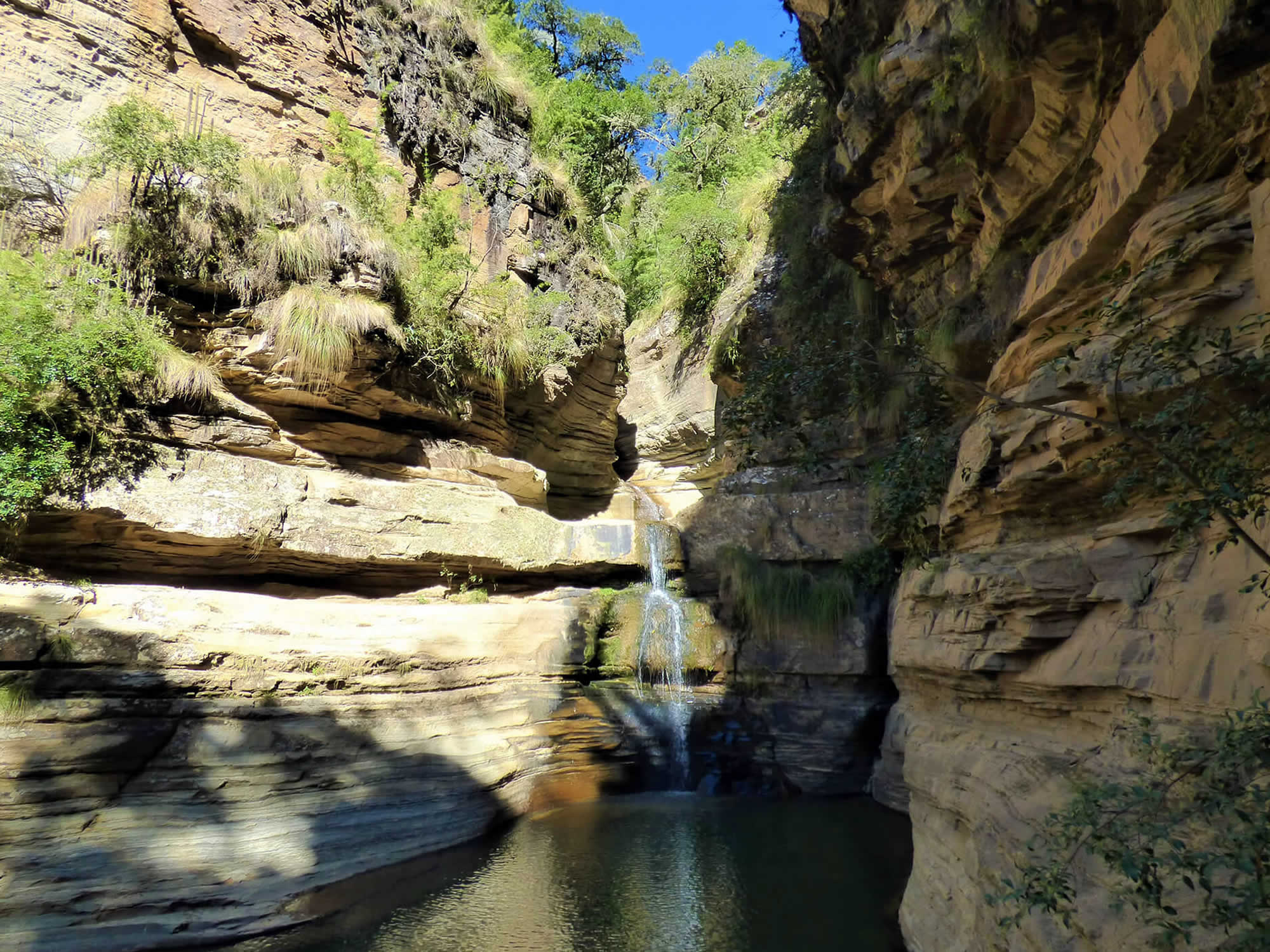 El Palmar Natural Area