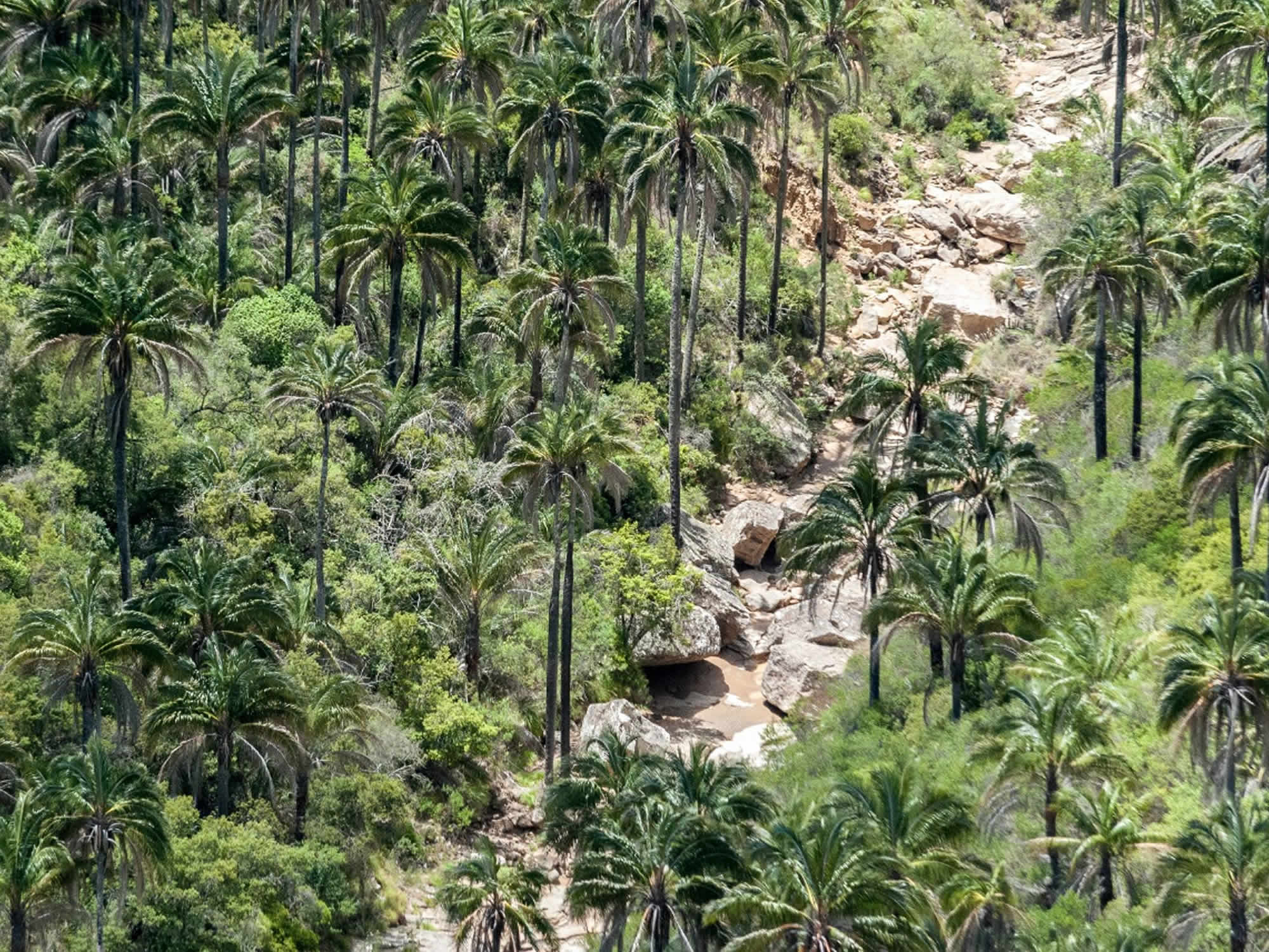 El Palmar Natural Area