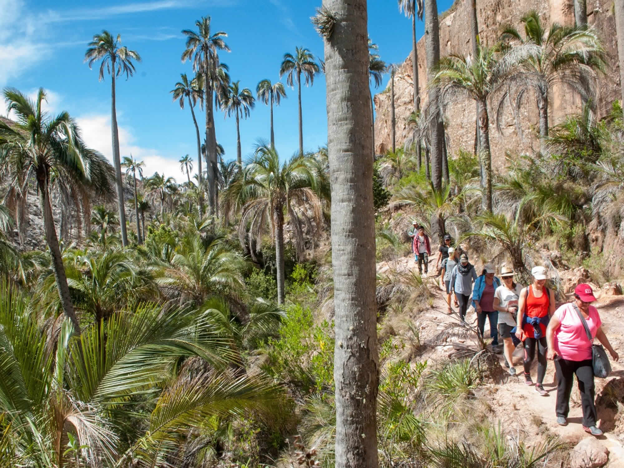El Palmar Natural Area