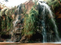 Los Espejillos