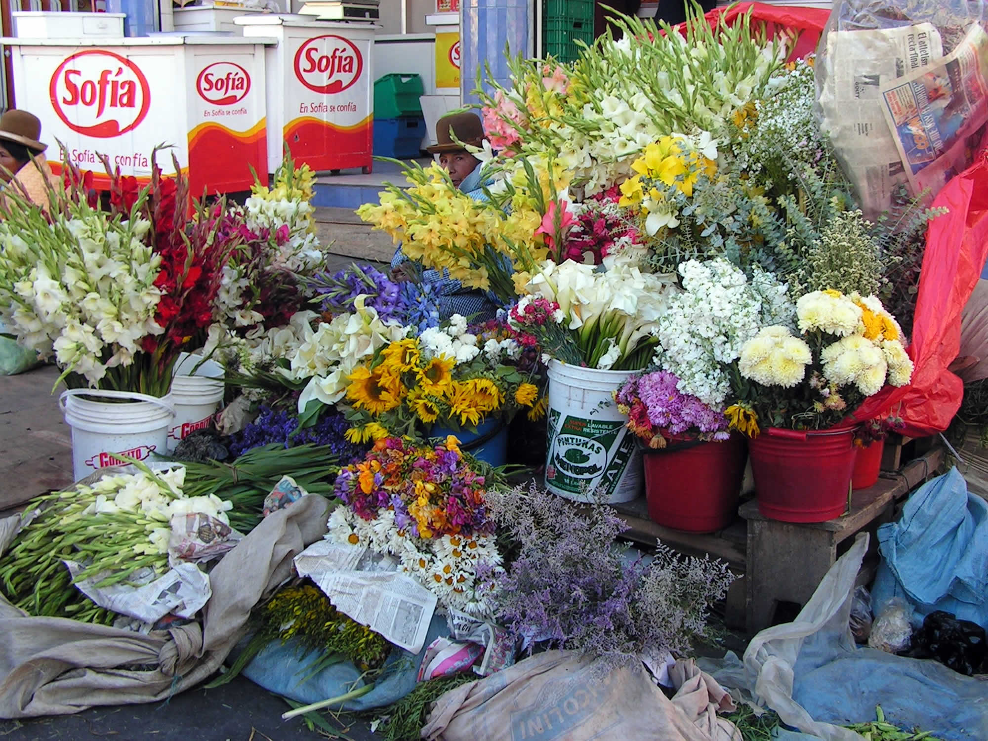 Flower Market