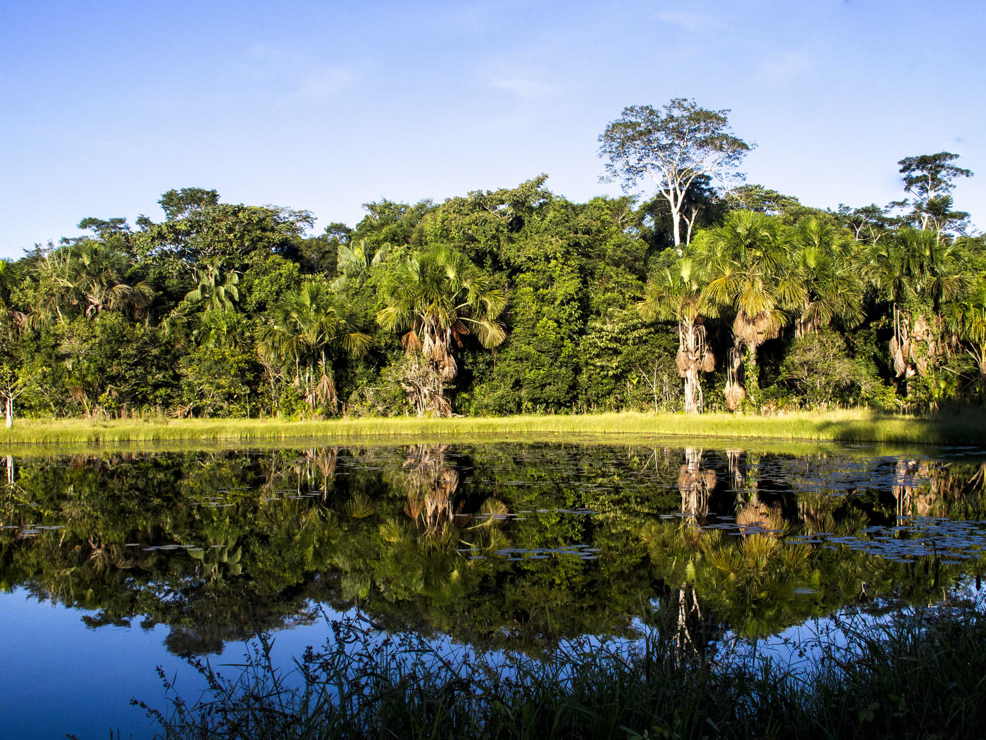 Manuripi Wildlife Reserve