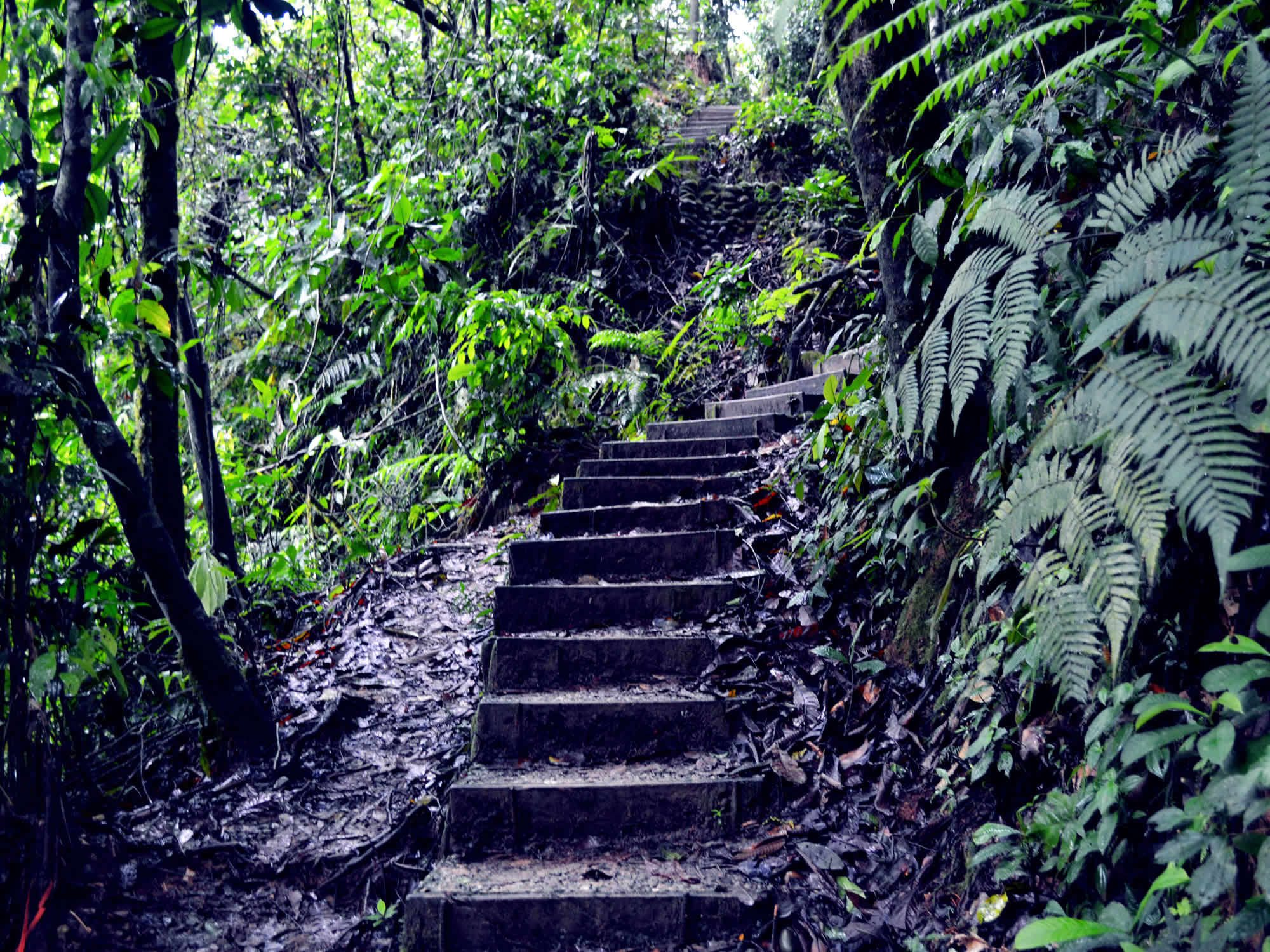 Parque Machia