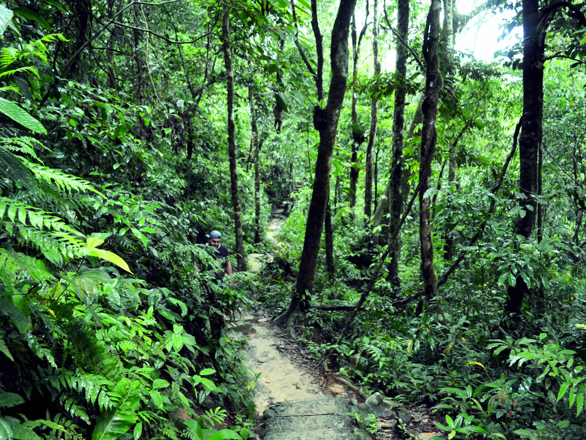 Parque Machia