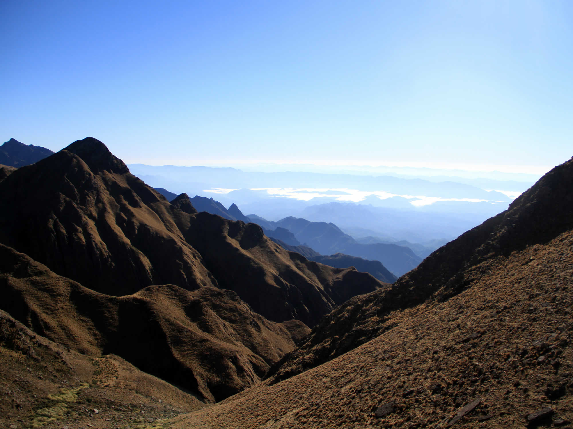 Tariquia Flora and Fauna Reserve