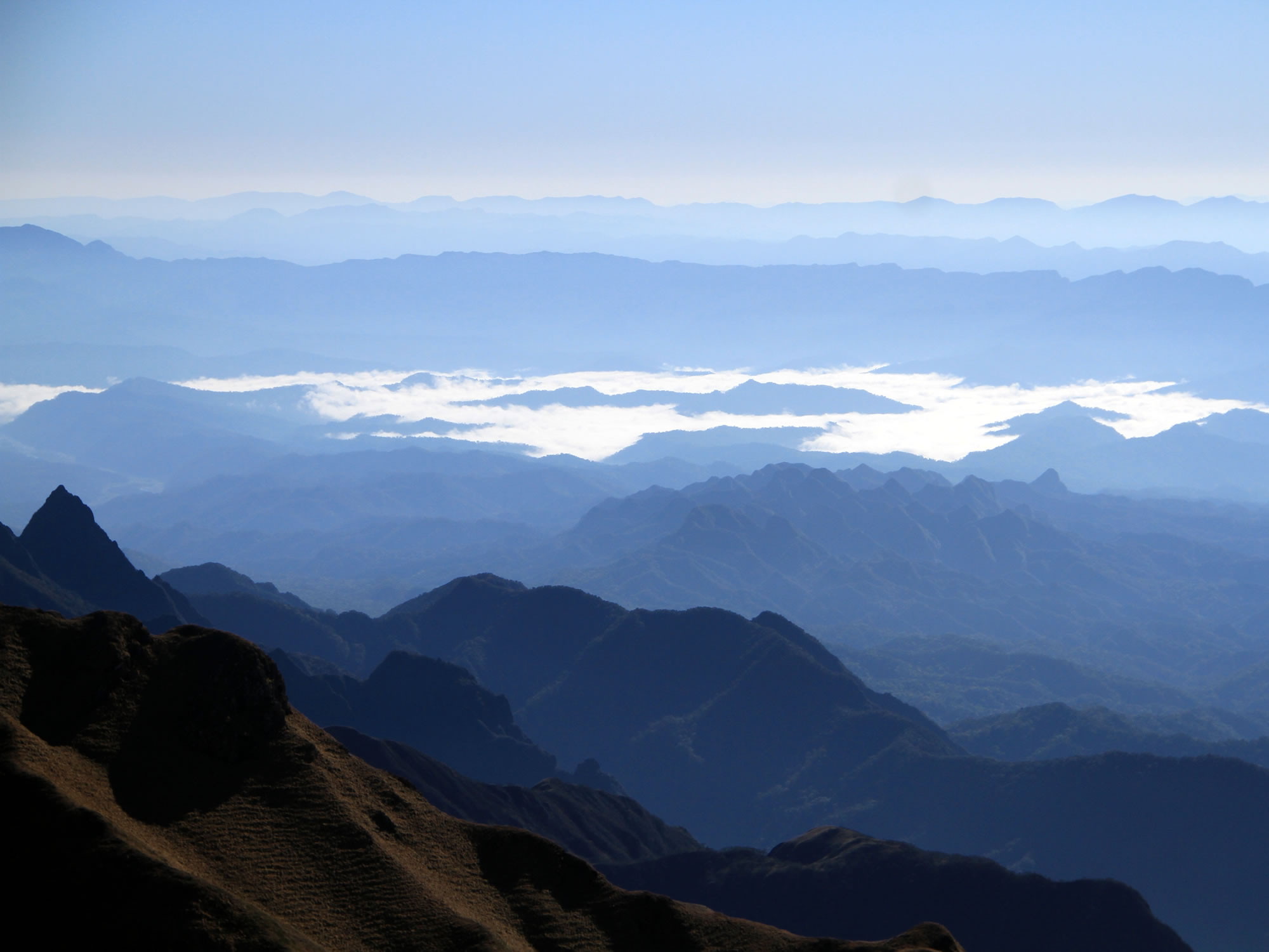 Tariquia Flora and Fauna Reserve