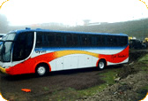 Todo Turismo Bus