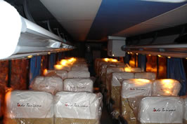 Todo Turismo Bus Interior