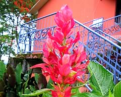 Hotel Las Araras, Villa Tunari