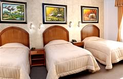 Valery Hotel, Potosi