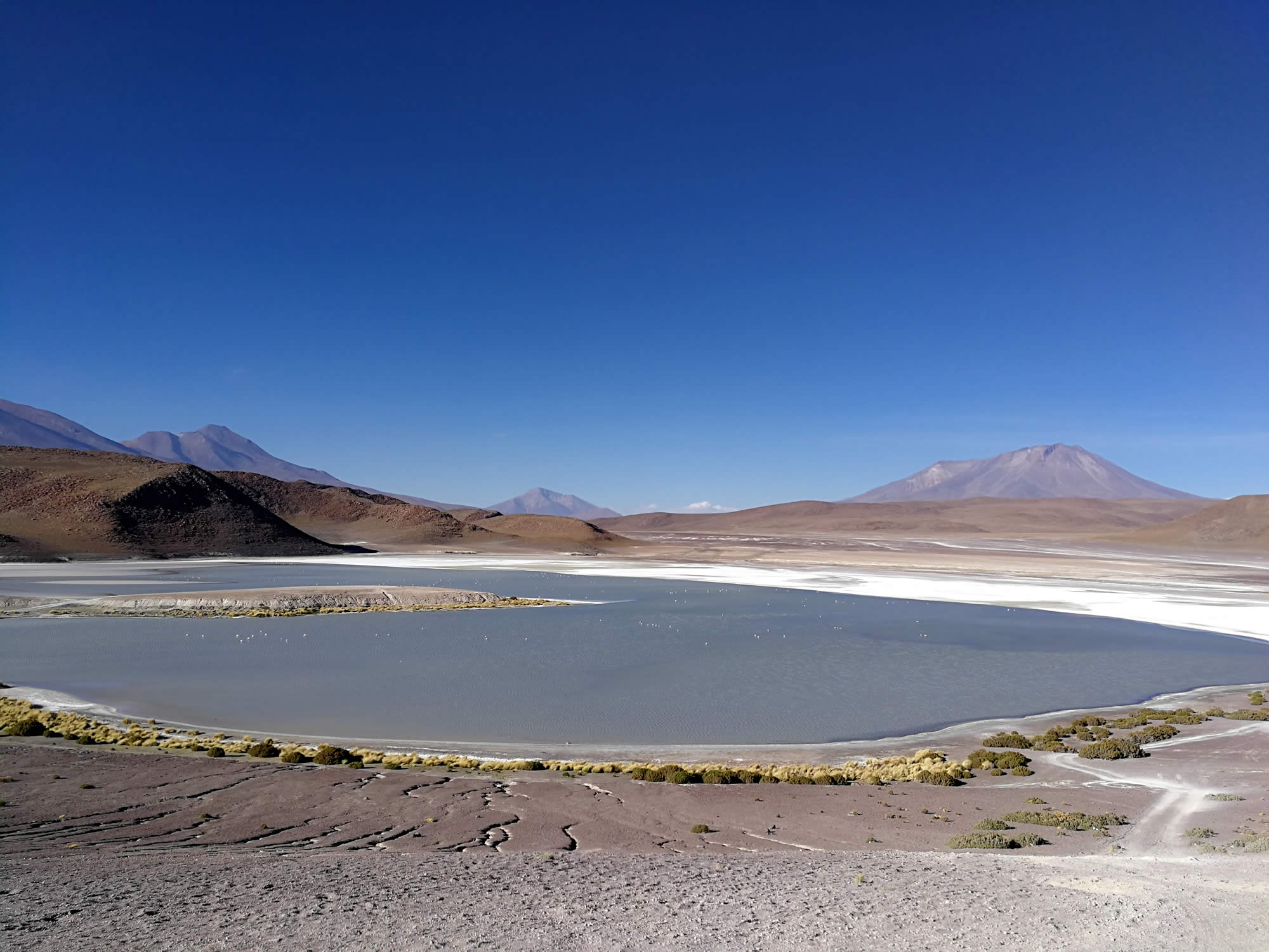 Private Tour Uyuni Salt Flat and Minor Lagoons, Salar de Uyuni tours, Uyuni