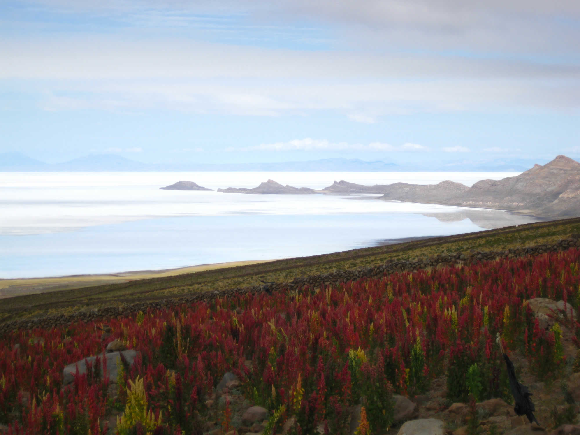 Uyuni Salt Flat and Thunupa Volcano Private Tour, Uyuni Tours, Uyuni