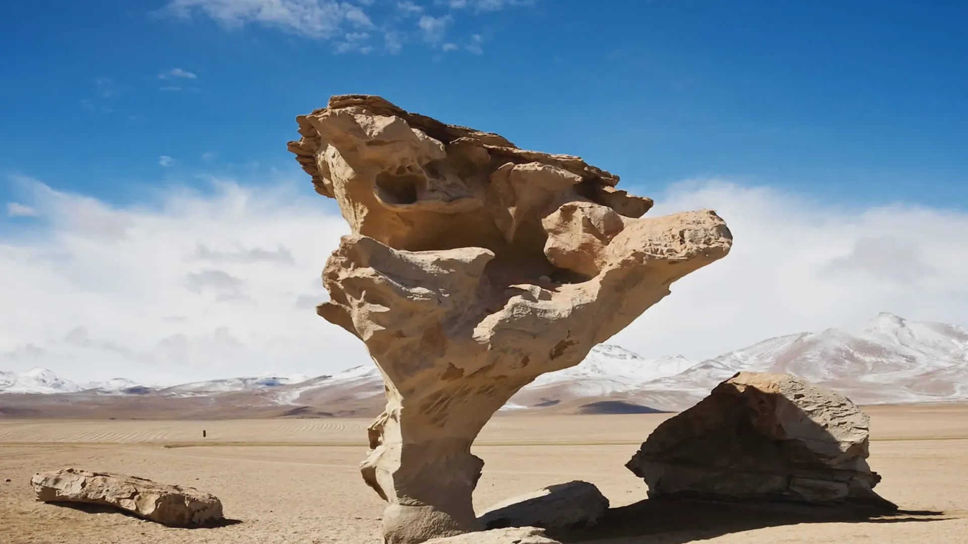 Rock Tree (Árbol de Piedra)